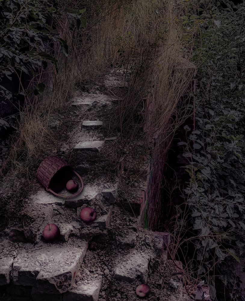 Photograph by Ольга Бакурская