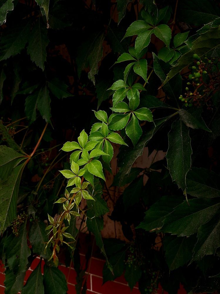Фотография автора Алексей Батюков