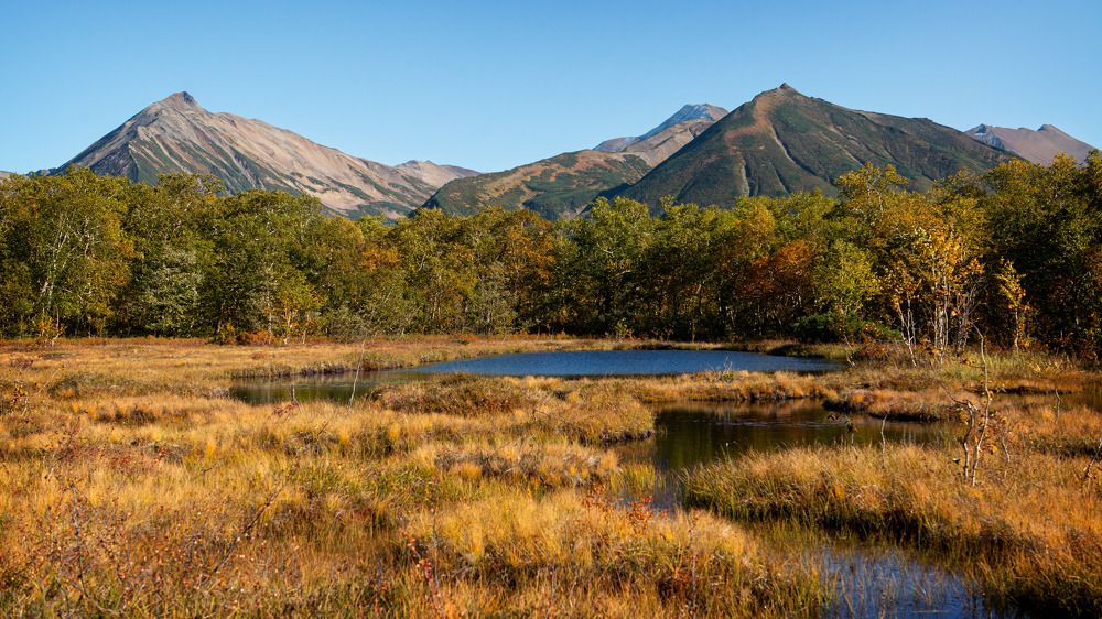 Photograph by Екатерина Швец