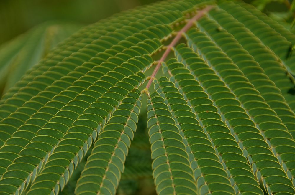 Фотография автора Алексей Батюков