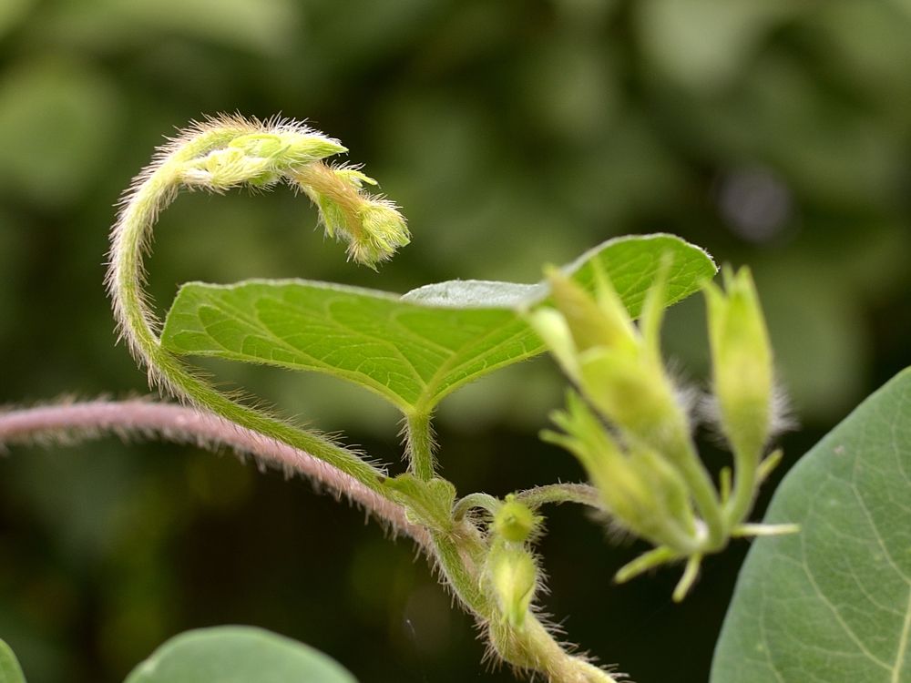 Фотография автора Алексей Батюков