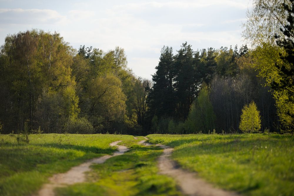 Photograph by Михаил Кинеев