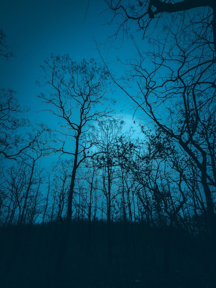 Photograph by ANKIT Sagar