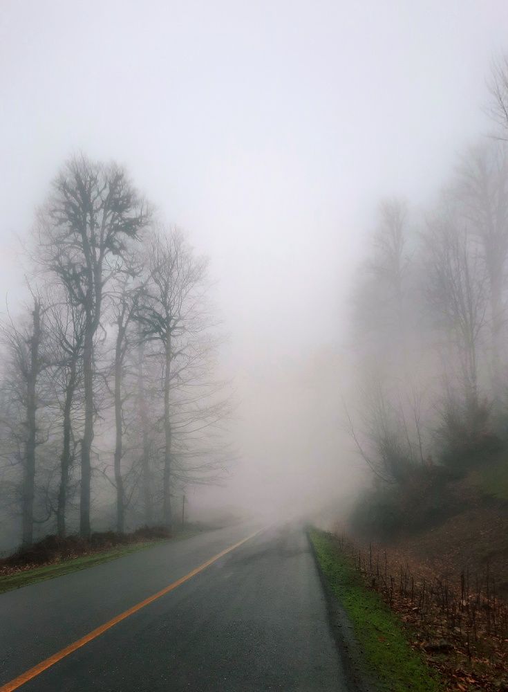 Photograph by Masoumeh Rahimi