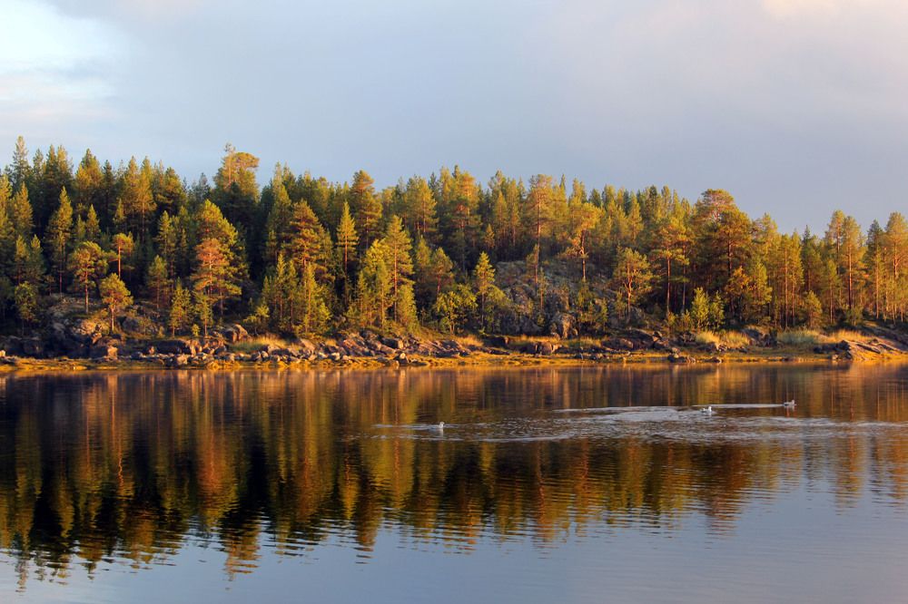 Зеркало осени