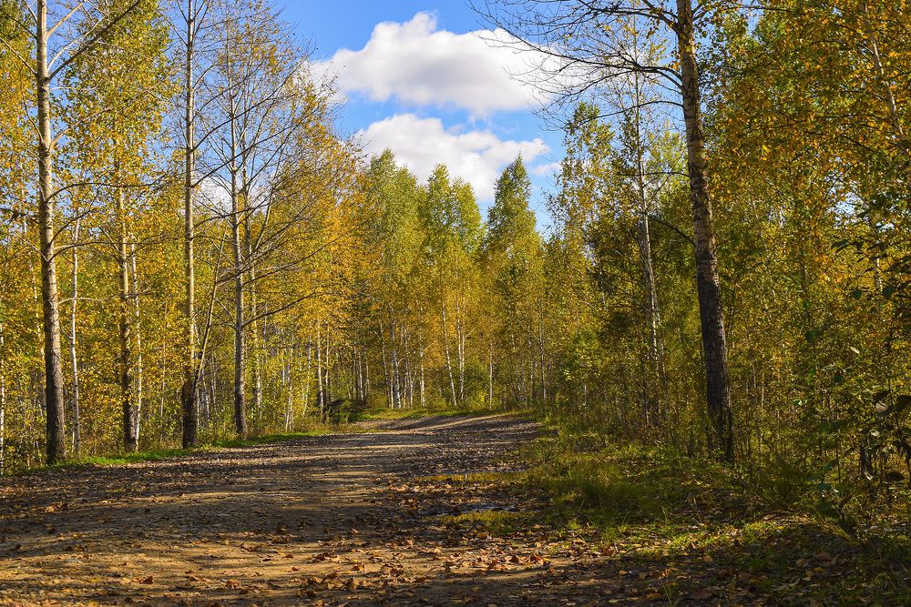 Photograph by Блохина Ольга