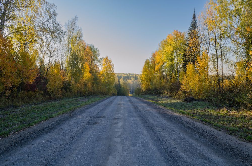 Фотография автора Сергей
