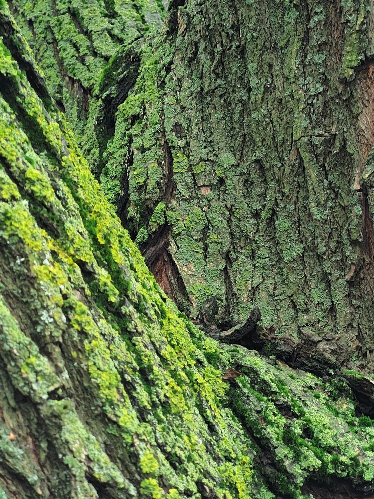 Photograph by Анастасия Сапронова