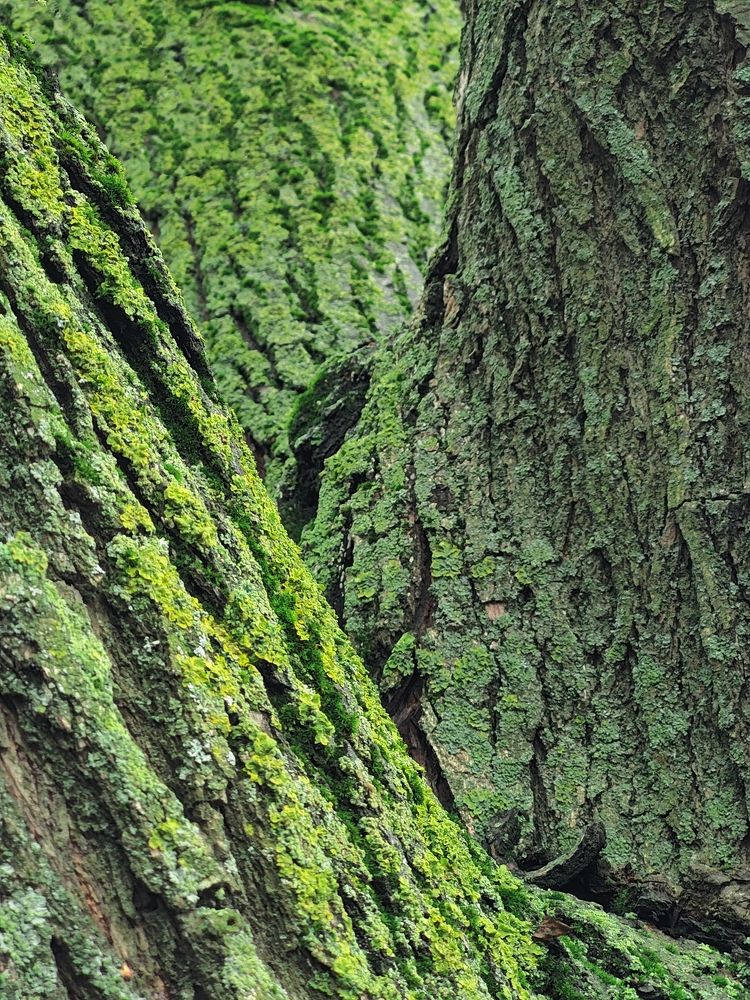 Photograph by Анастасия Сапронова