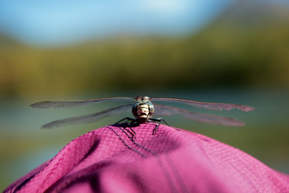 Photograph by Екатерина Швец