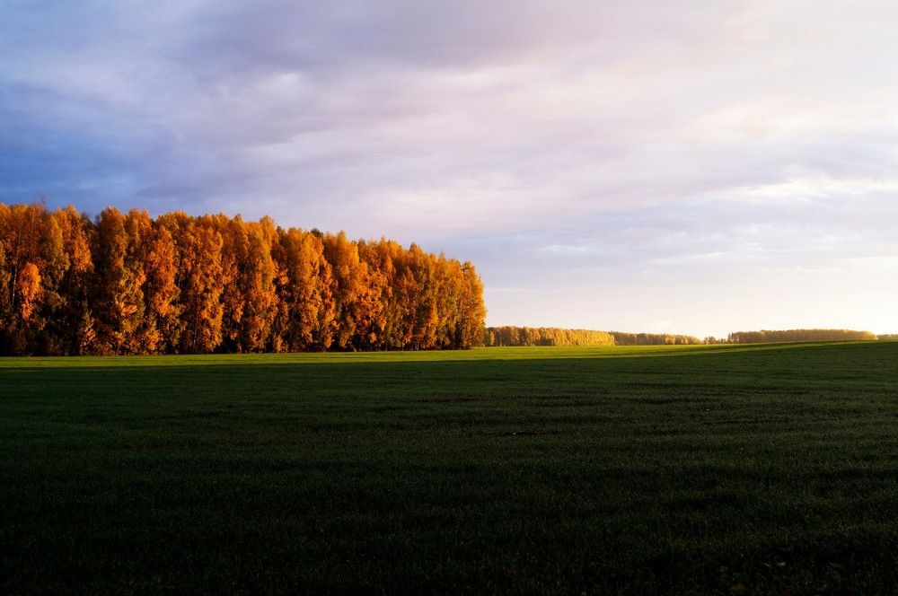 Photograph by Алексей Логинов