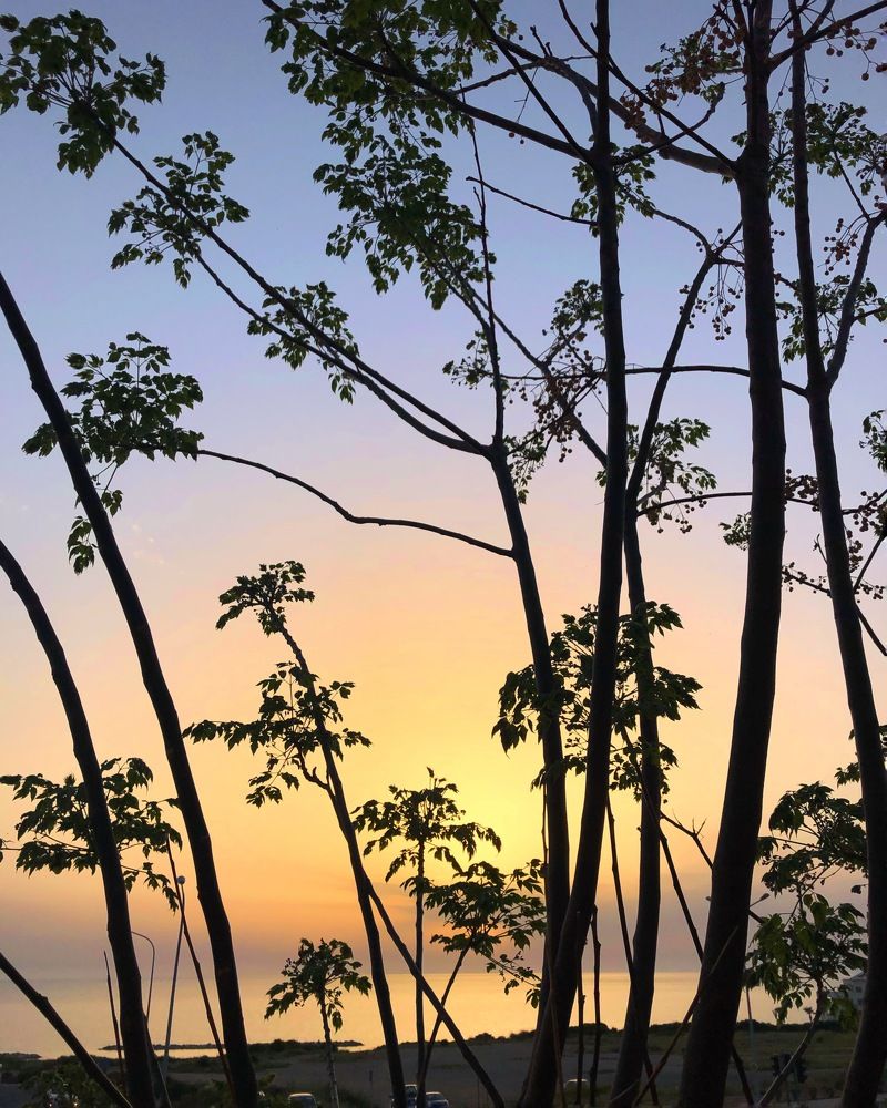 Photograph by Antonova Marina