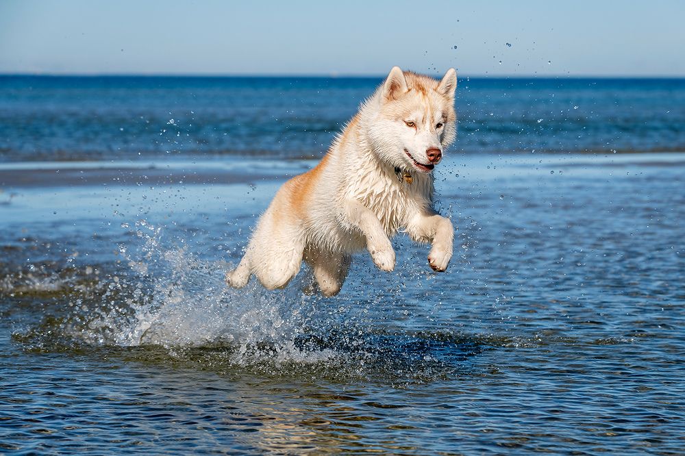 Photograph by Александр Абросимов