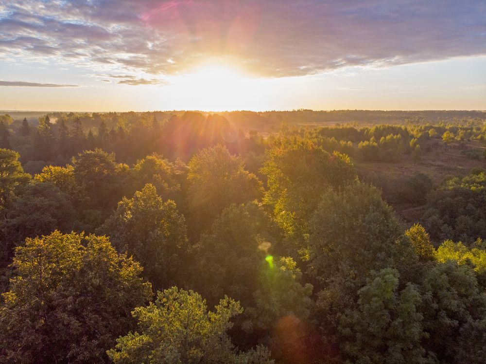 Photograph by Михаил Кинеев