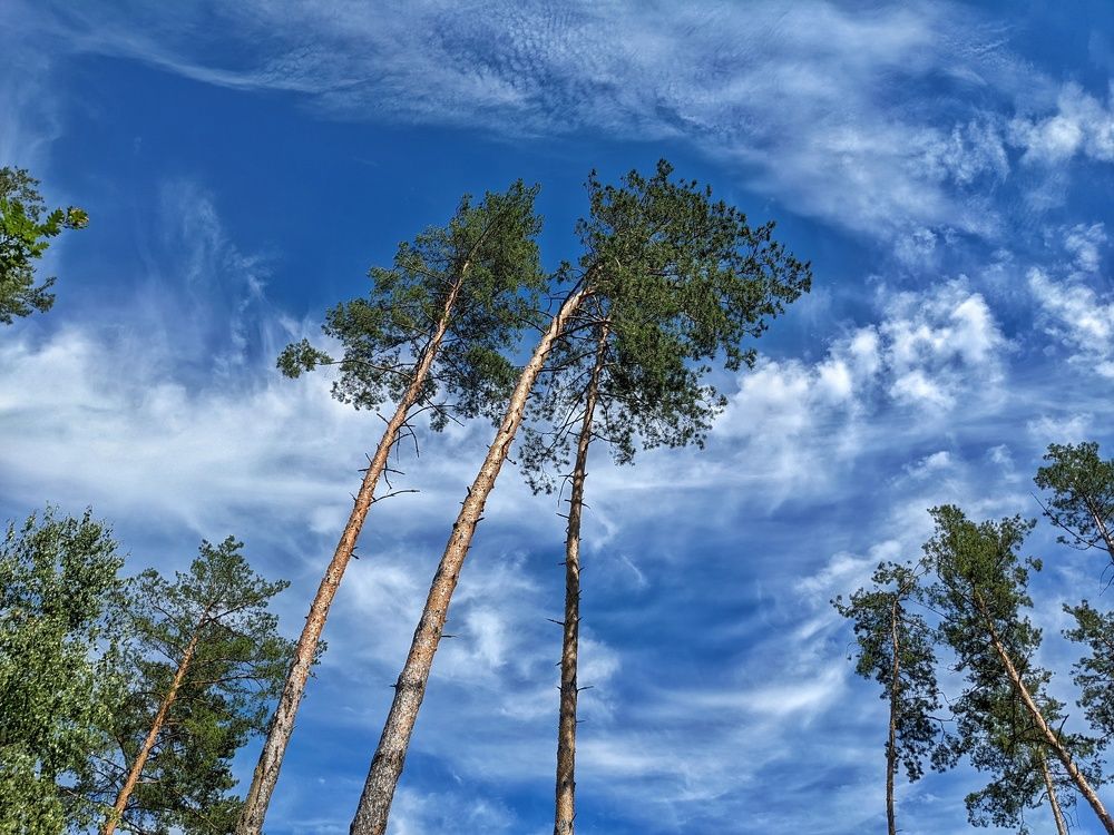 Photograph by Lavlad L