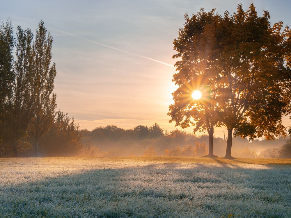 Photograph by Ярослав Изотов