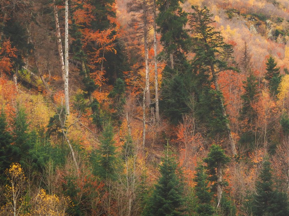 Photograph by Тая Михайлова