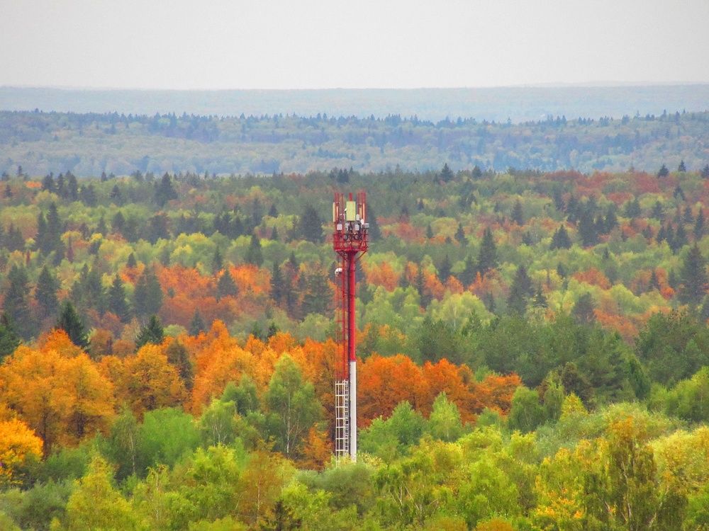 Photograph by Ольга Рогозина