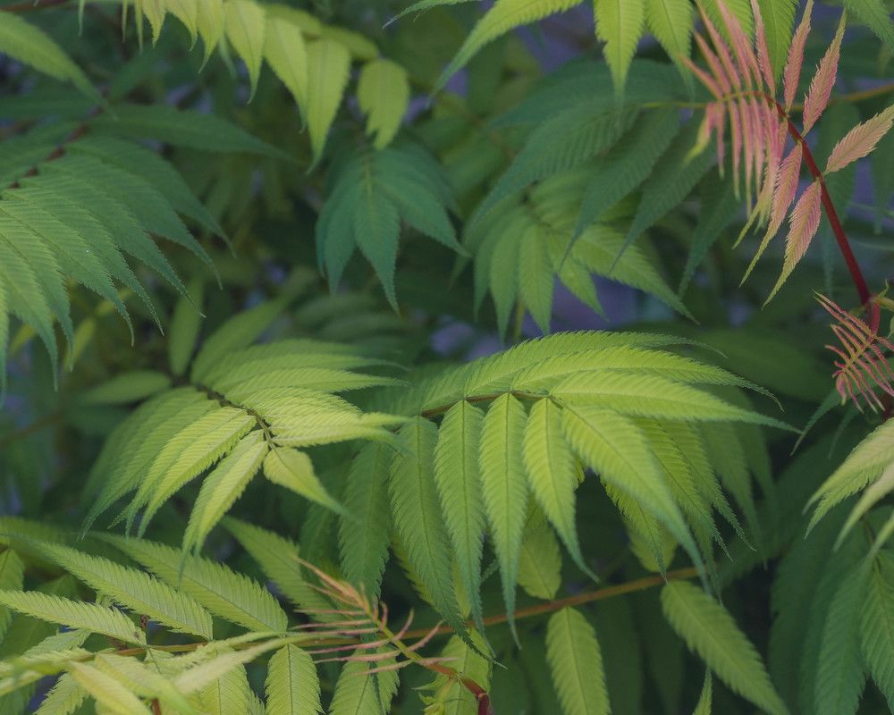 Photograph by Тая Михайлова