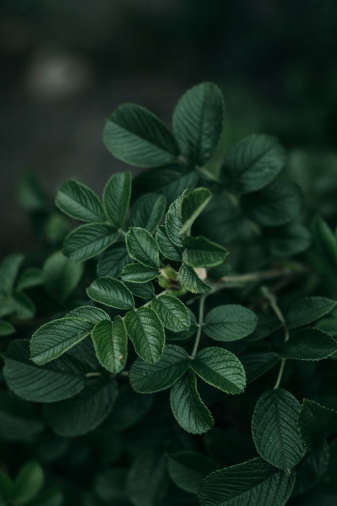 Photograph by Любовь Морозова