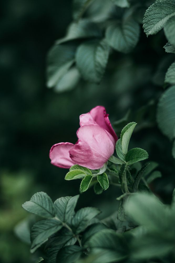 Photograph by Любовь Морозова