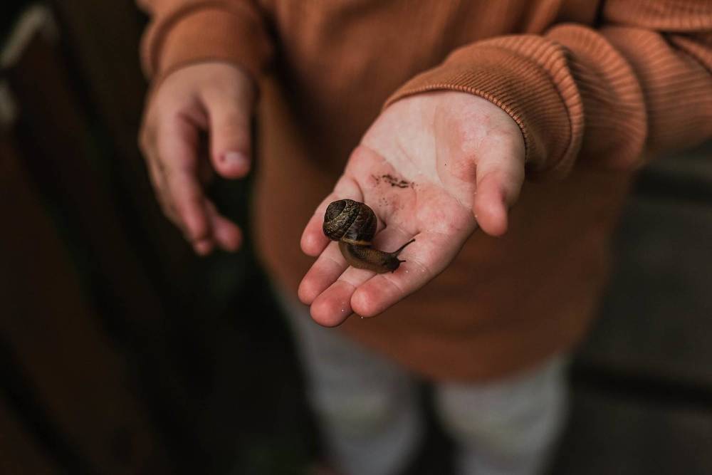 Photograph by виктория воронова
