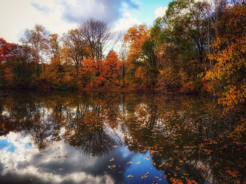 Photograph by Сергей Колесниченко