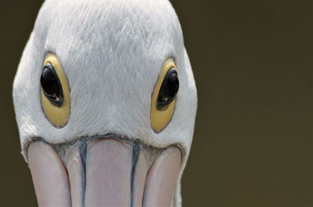 Фотография автора Caroline Martin