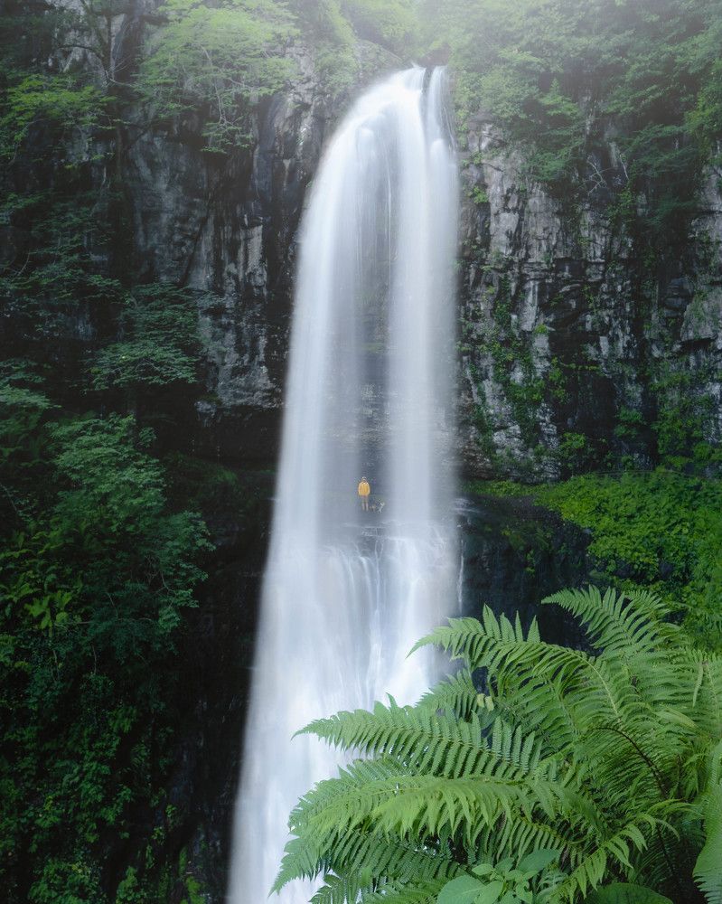 Photograph by Тая Михайлова