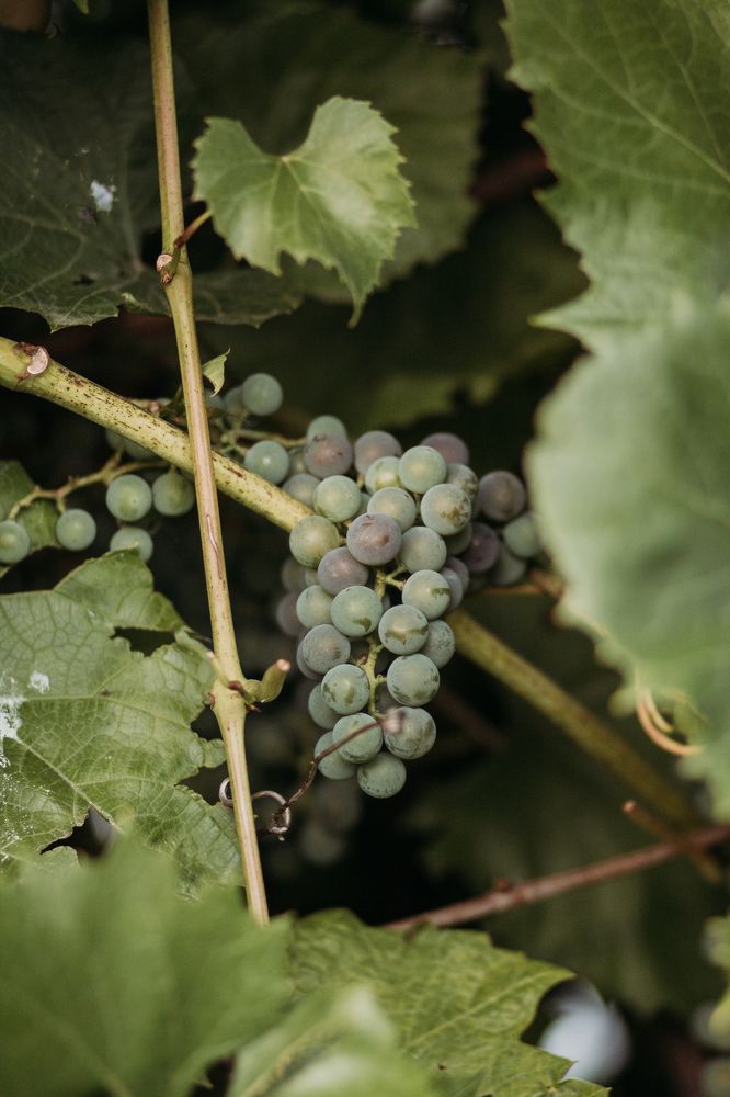 Photograph by Любовь Морозова