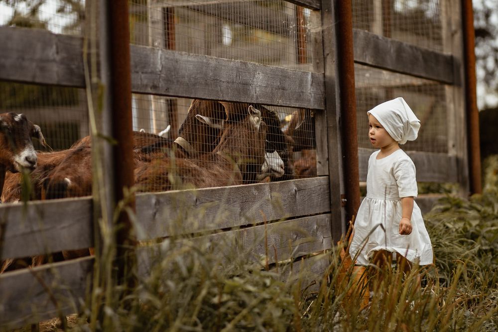 Photograph by Любовь Морозова