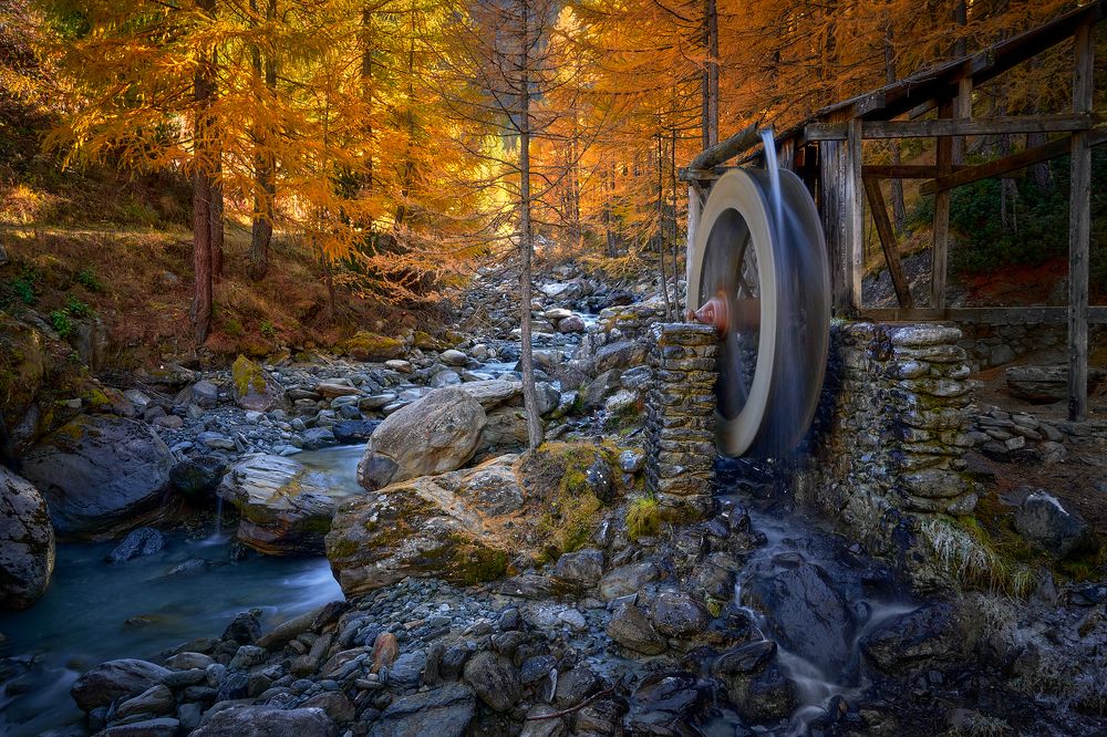 Photograph by Boris Bekelman