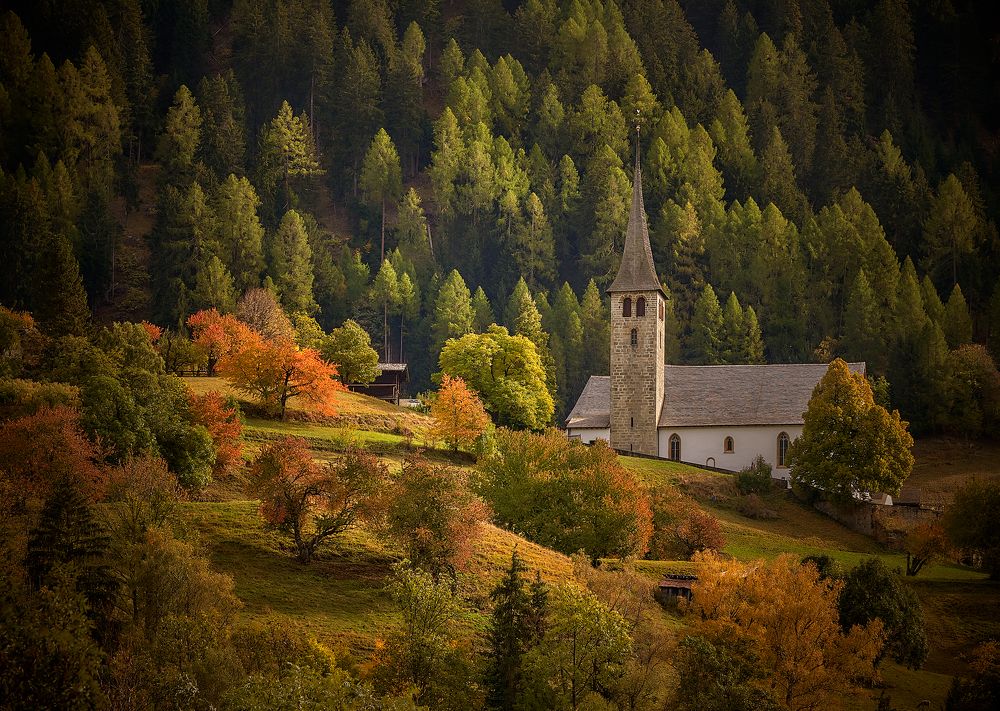 Photograph by Boris Bekelman