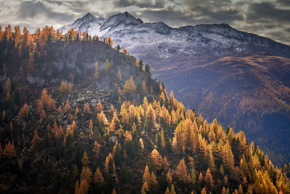 Photograph by Boris Bekelman