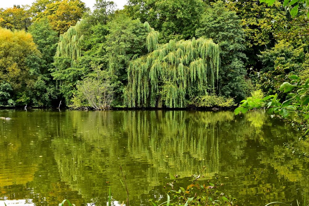 Photograph by Ирина Алексеева