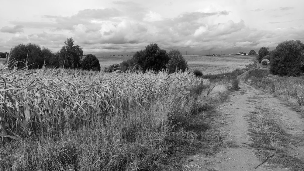 Photograph by Hleb Karneichuk