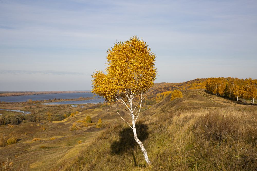 Золото осени