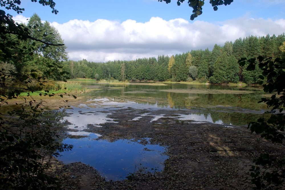 Photograph by Лавренева Алла