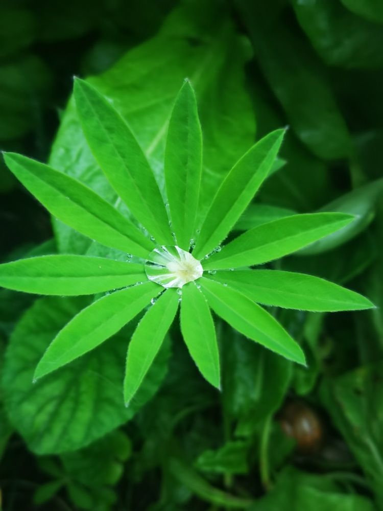 Photograph by Nikolett Mengyi