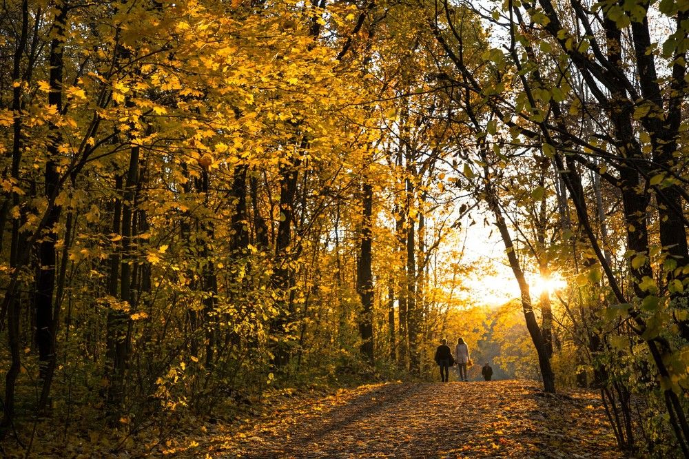 Осенний вечер