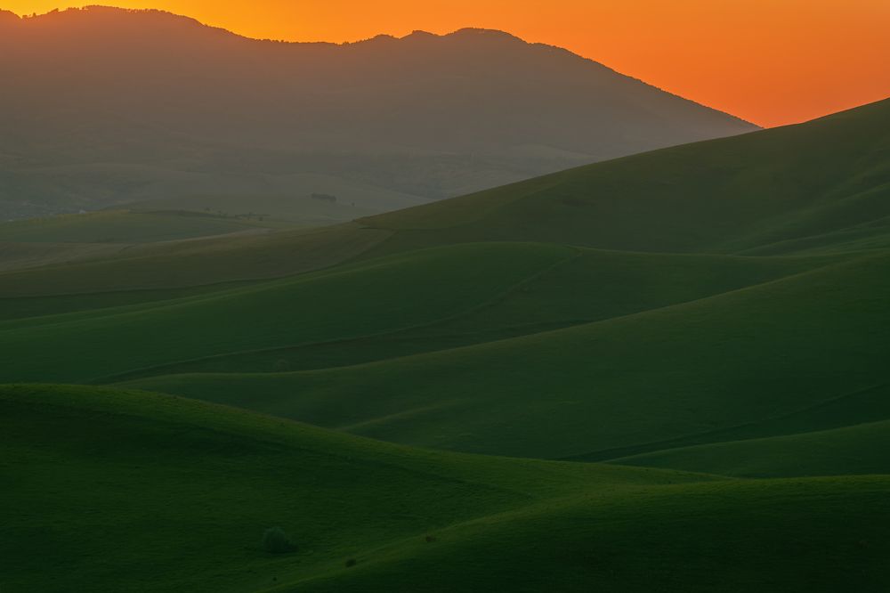 Photograph by Евгений Соколов