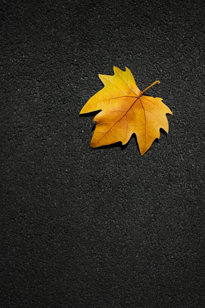 Photograph by Сергей Удовиченко