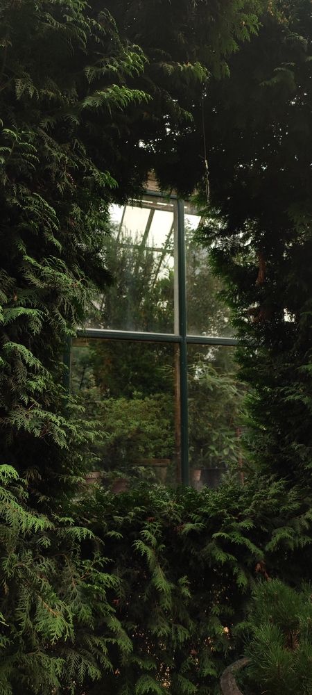 Photograph by Ольга Никулина