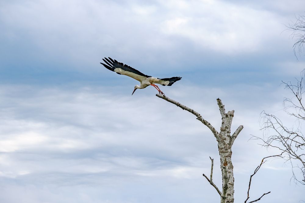 Photograph by Сергей Морозов