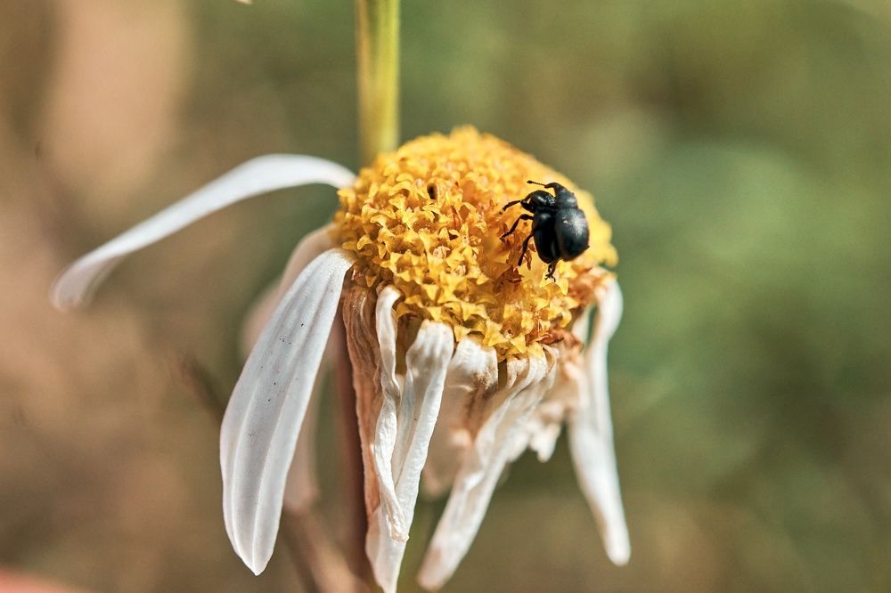 Photograph by Yuli Lerou