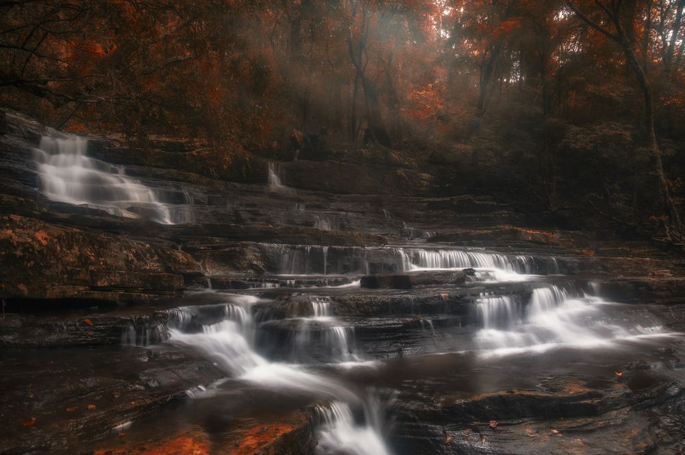 Photograph by Chamara Sulakkhana Polwatta Siriyalage