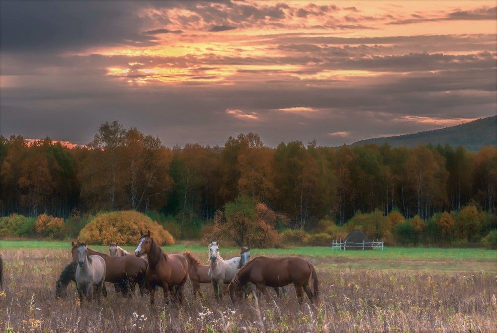 Photograph by Стас Неклюдов