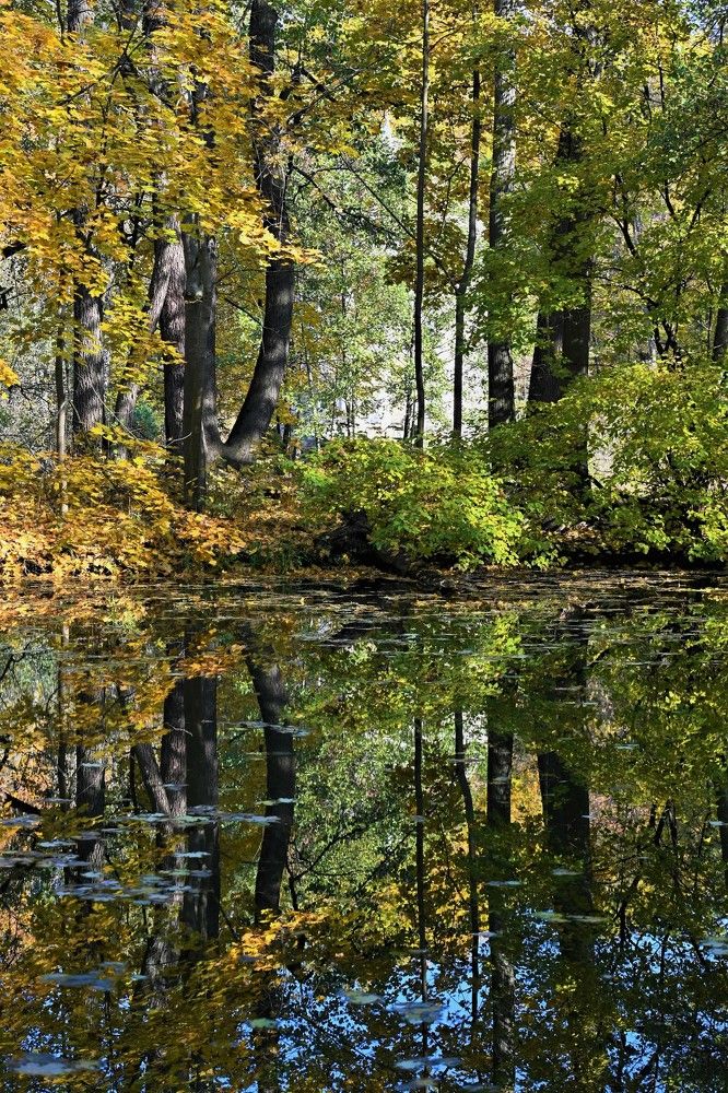 Фотография автора IRINA FILIPPOVA