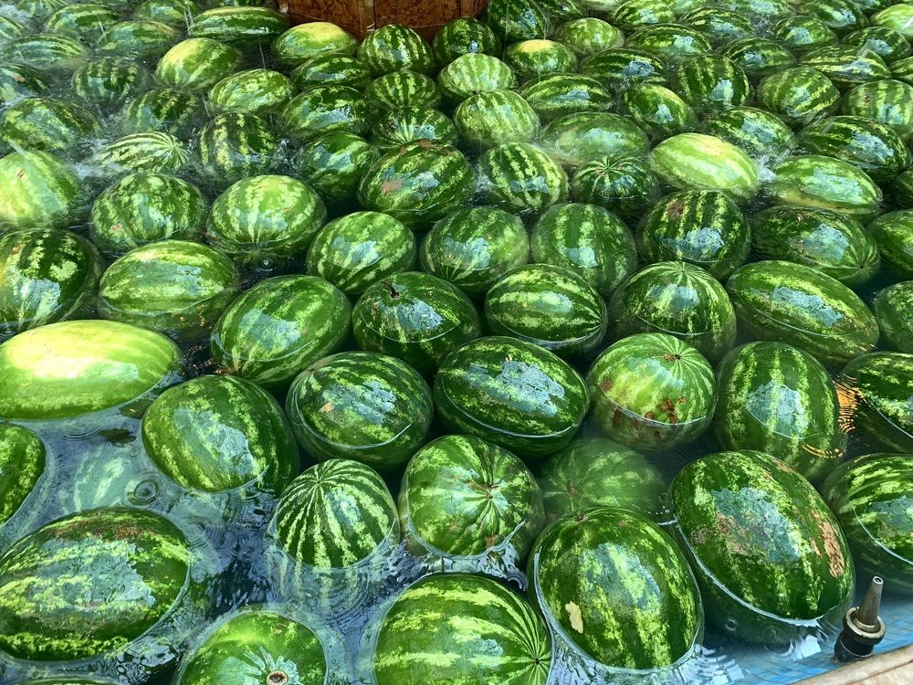 Photograph by Станислав Ситников