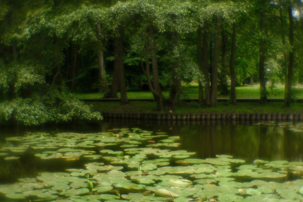 Photograph by Владимир Леликов-Кузьменко